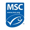 MSC logo MSC logo on a white background