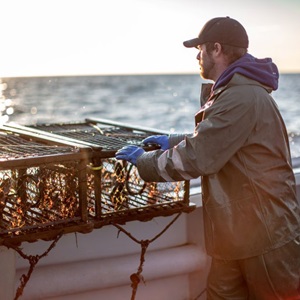 Maritime Canada Inshore Lobster Trap Fishery
