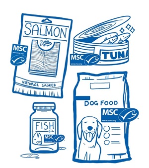Blue line drawing of MSC certified smoked salmon, canned tuna, supplements, and dog food
