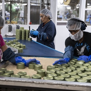 Find potential suppliers