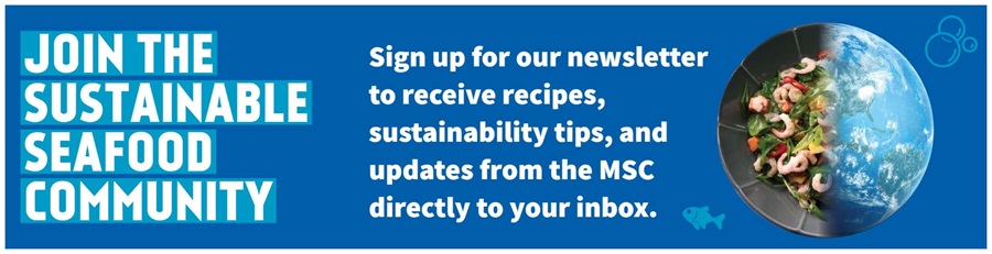 Newsletter Banner