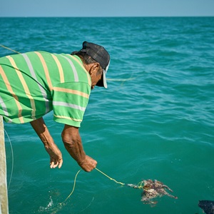 MSC Capacity Building Program (em inglês)