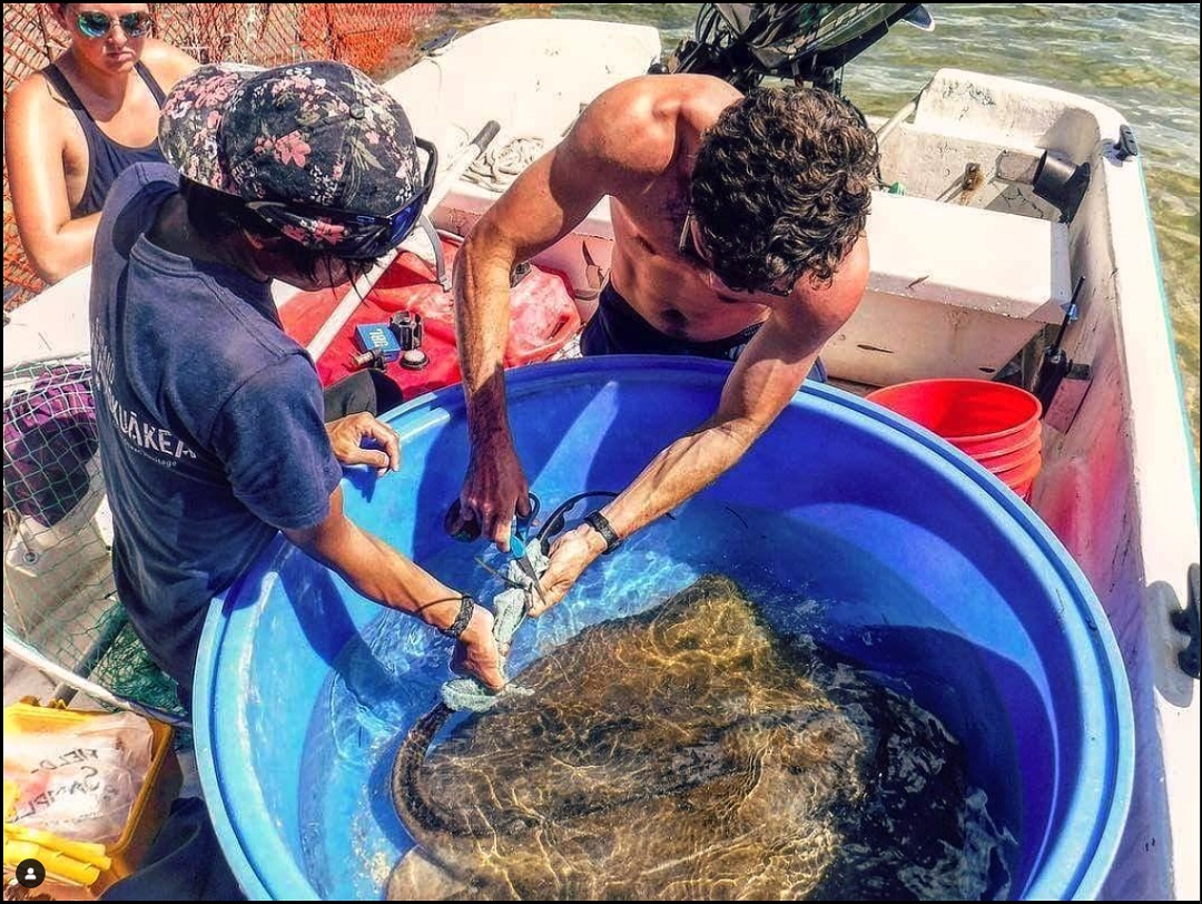 Why Netflix's ‘Love Is Blind’ Contestant Paul Peden Cares About the Science of Sustainable Seafood