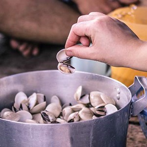 Saving a clam fishery in Vietnam