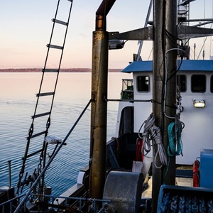 Canada Pacific Halibut (British Columbia)