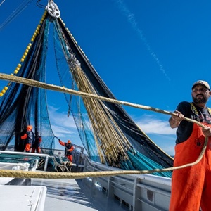 Sustainable Sardines: Small in Size, Big in Impact