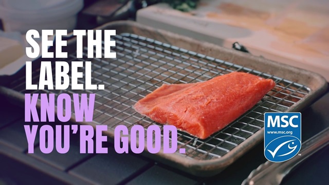 Filet of uncooked salmon on a grill rack