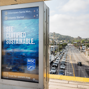 Promote your MSC offerings