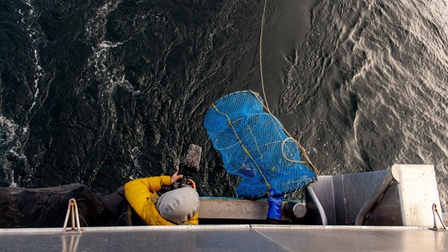 How MSC Certified fisheries are improving