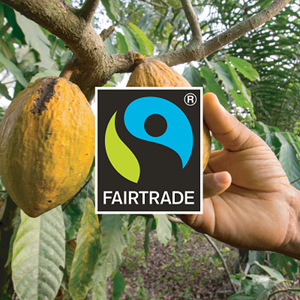 About Fairtrade America