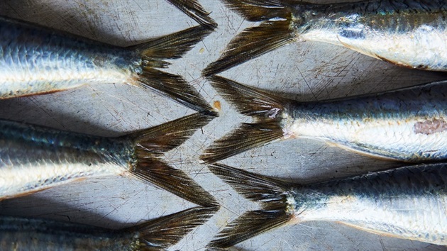 Ready to get involved?