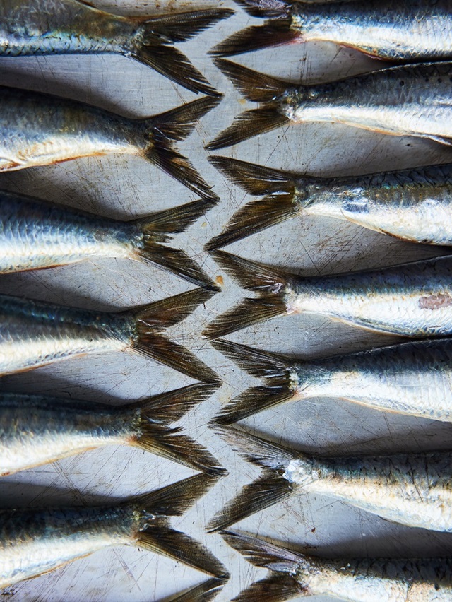 Ready to get involved?