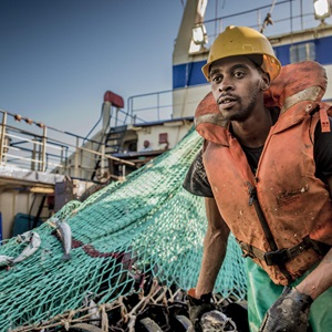 Lern about the MSC Fisheries Standard