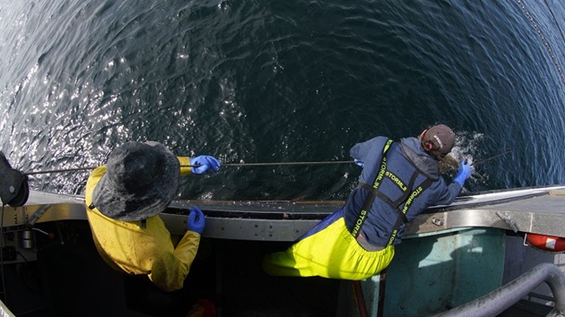 How MSC Certified Fisheries are Improving