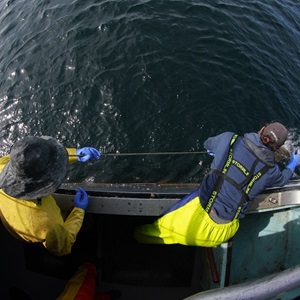 Continually Improving Fisheries