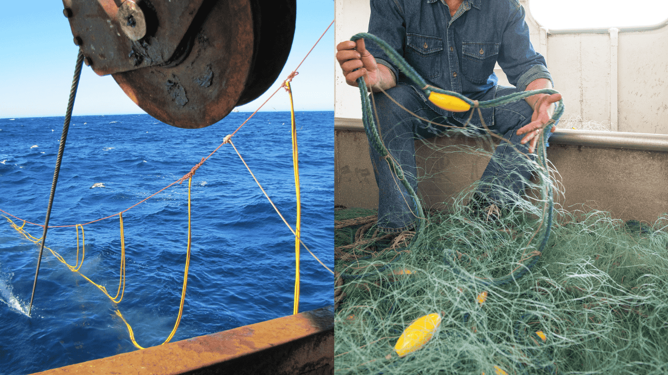 Fishing gear in the water