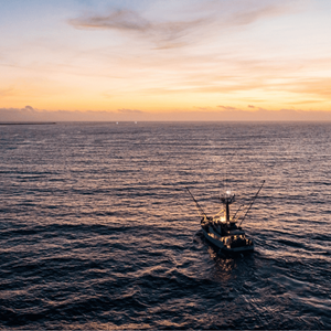 Sustainable Tuna for Every Meal & Mood