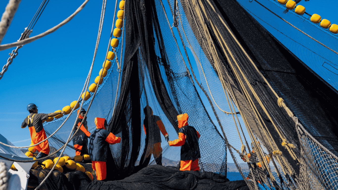 Sardine fishers in bright orange workwear hauling nets onboard