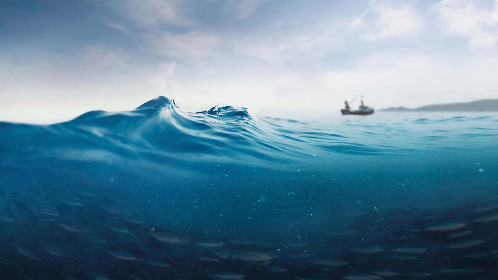 Four Things We Learned About the State of the World’s Fisheries