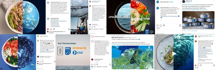 Big Blue Future social media posts