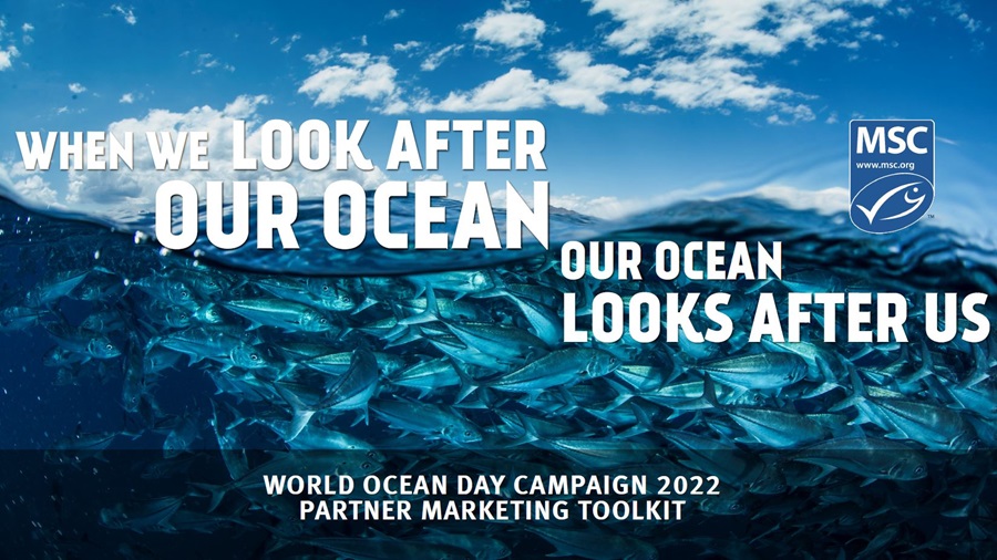 World Ocean Day Toolkit Introduction Page