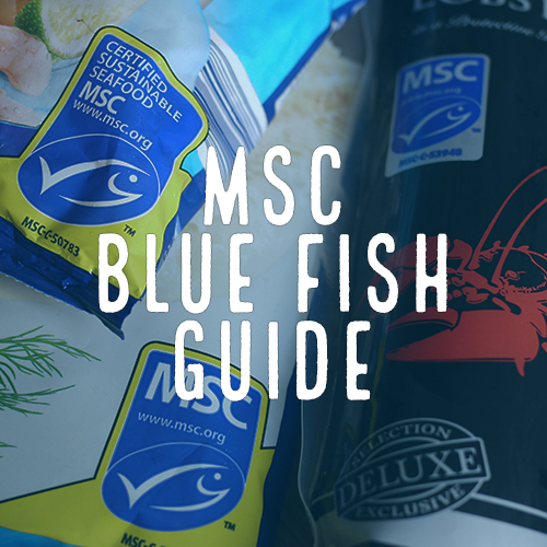 MSC Blue Fish Guide