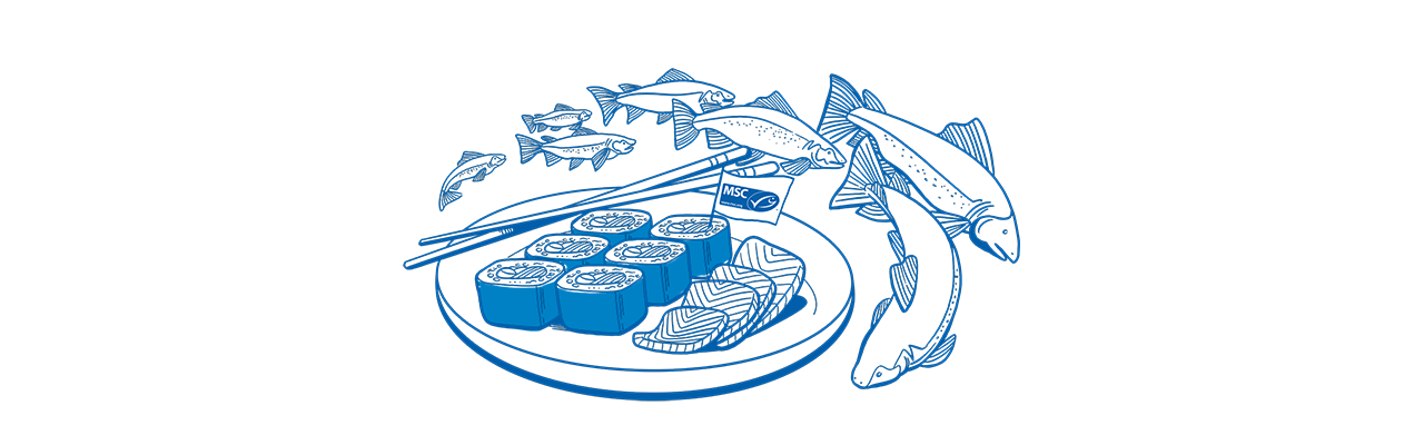 illustration of swirling salmon swimming around plate of sushi with MSC blue fish label