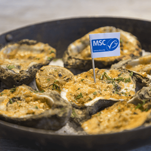 Grilled Parmesan Garlic Oysters