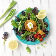 Salmon Cakes_DeliciouslyGeeky_Website Salmon Cakes_DeliciouslyGeeky_Website