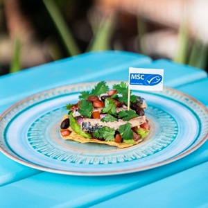 Cilantro Sardine Tostada