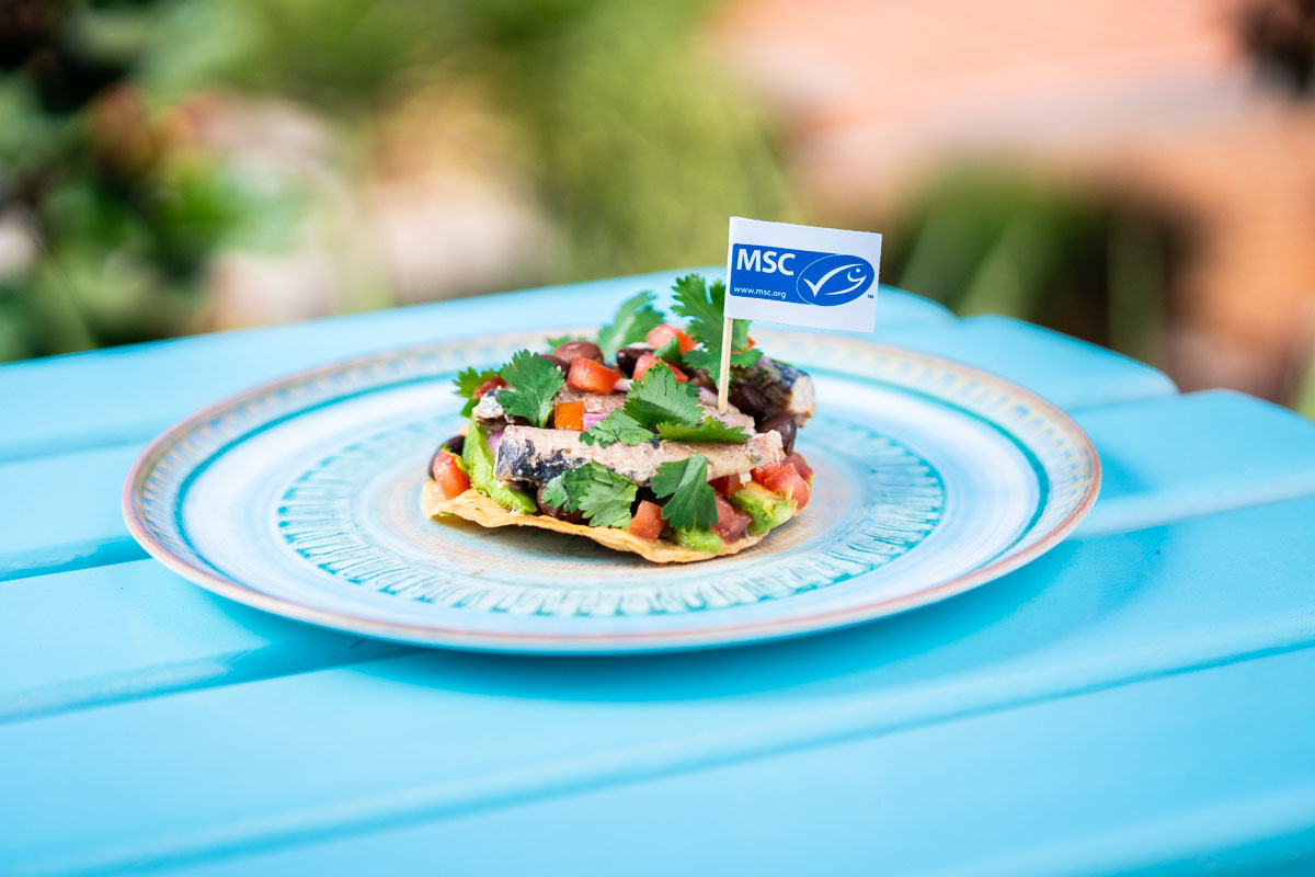Sardine tostada on a blue picnic table