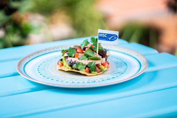 sardine tostada Sardine tostada on a blue picnic table