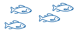 Blue fish illustration