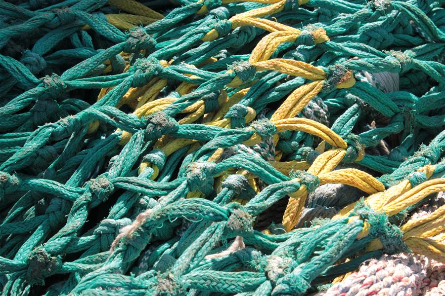 biodegradable fishing gear