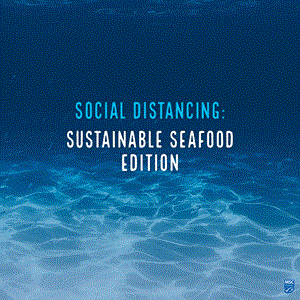 Social Distancing: Sustainable Seafood Edition
