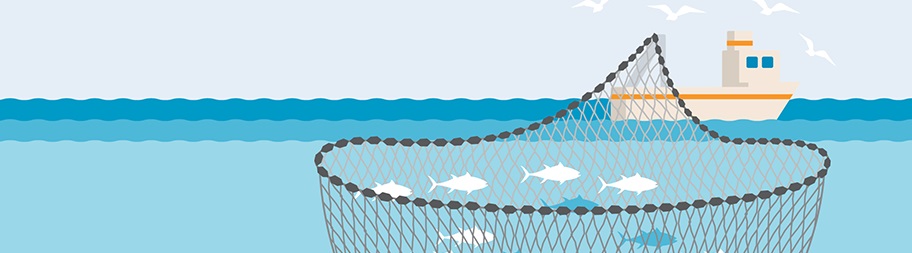 purse seine-shorthand