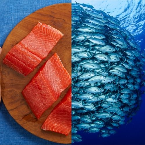 Split Screen Food and Ocean