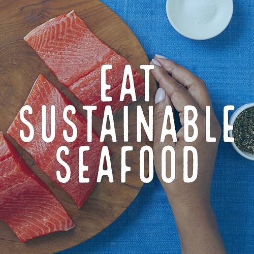 Eat Sustainable Seafood