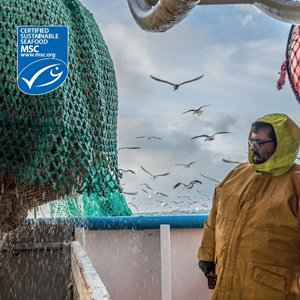 Fishery Certification Guide