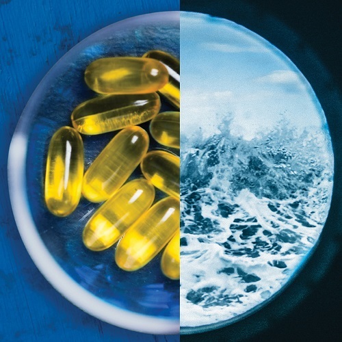 Consumers Perceptions on Sustainability in Omega-3 Supplements (60 min webinar)
