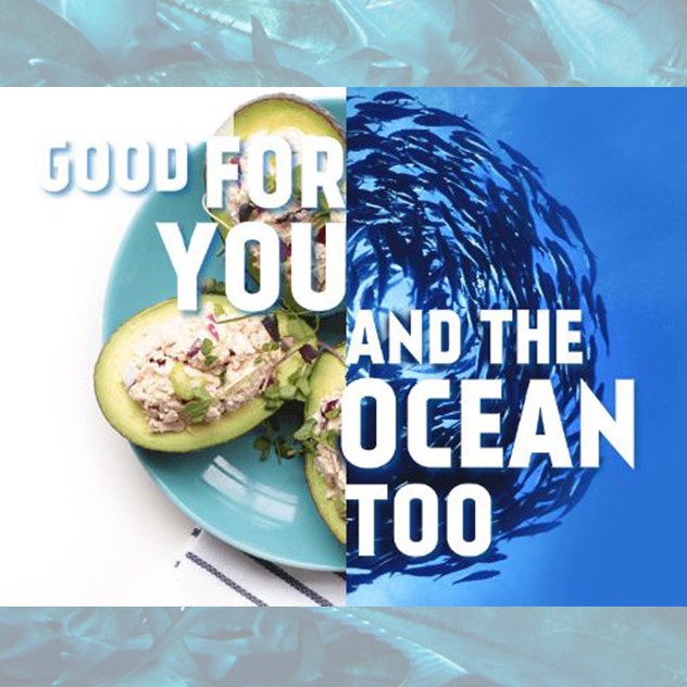 Safe Catch Promotes 100 MSC Certified Sustainable Sourcing Marine Stewardship Council