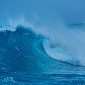 World Ocean Day 2021