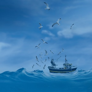 World Ocean Day 2022
