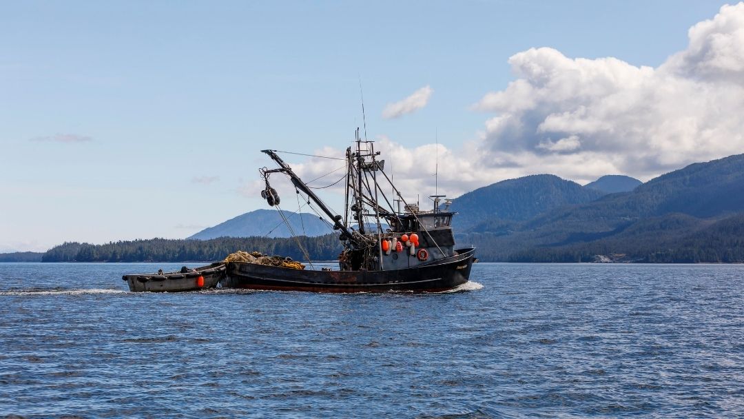 Salmon fishing boat from the Metlakatla Indian Community
