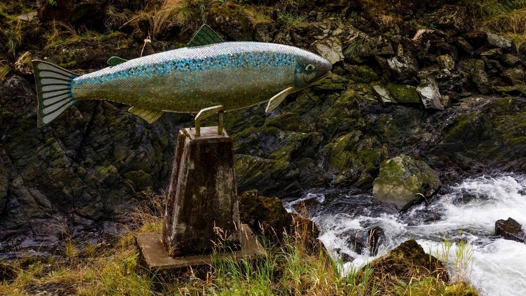 Salmon sculpture