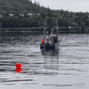 Annette Islands Reserve Salmon