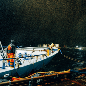BSAI and GOA Pacific Cod