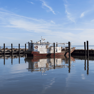 Prestige Oysters Texas and Louisiana private oyster fishery