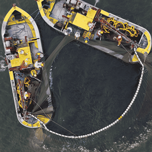 US Atlantic Menhaden Purse Seine