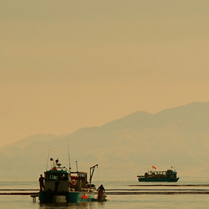 Great Salt Lake brine shrimp fishery